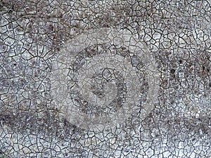 Weathered old dark grey ruberoid photo
