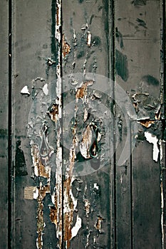 Weathered old door