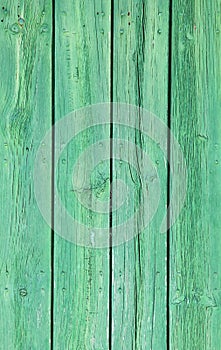 Weathered old wood natural faded bright green painted background