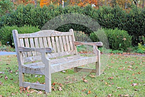 Weathered park bench