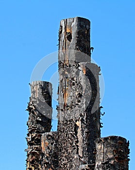 Weathered Posts