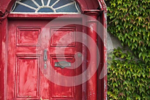 Weathered Red Door with Ivy