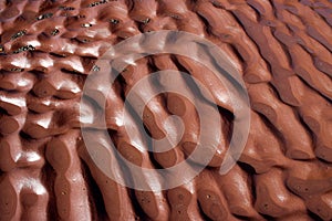 Weathered red sandstone on shore, Fleswick Bay