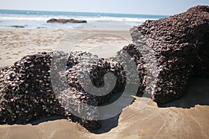 Weathered rocks on beach