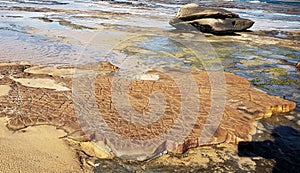 Weathered Rocks on the Rock Platform at Burwood Beach