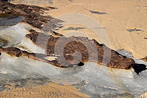 Weathered Rocks on the Rock Platform at Burwood Beach