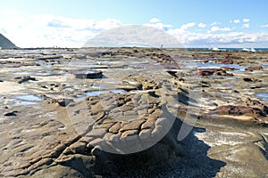 Weathered Rocks on the Rock Platform at Burwood Beach