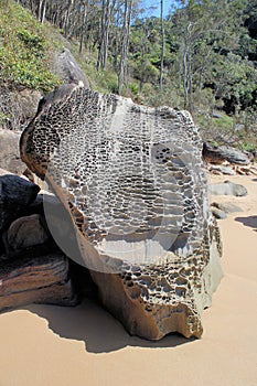 Weathered Rocks West Head Beach Ku-ring-gai Chase National Park