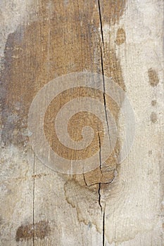 Weathered Rustic Wood Background with Split