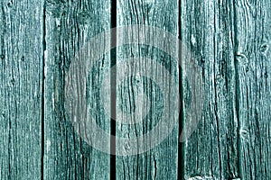 Weathered rustic wood planks with nails. Cyan toned
