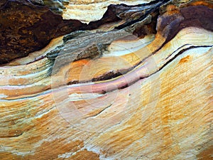 Weathered Sandstone Patterns, Bondi Beach, Australia