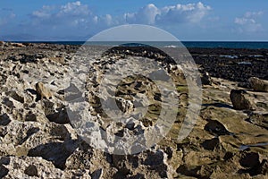 Weathered sandstone rock on coastline. Carbonated rough stones photo