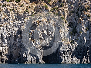 Weathered seaside rock face texture. Aged volcanic stone wall surface background pattern