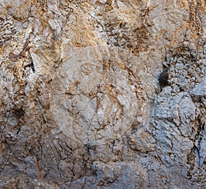 Weathered seaside rock face texture. Aged volcanic stone wall surface background pattern