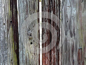 Weathered Stockade Fort Fence