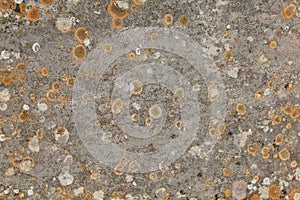 Weathered stone wall with lichen