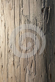 Weathered Telephone Pole