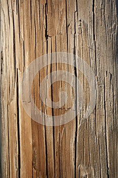 Weathered Telephone Pole