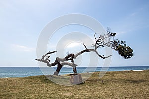 Weathered Tree on Grass Verge Against Blue Ocean Skyline