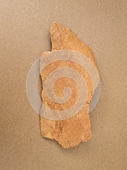 Weathered treebark from a large tree