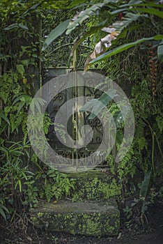 Weathered vintage cast-iron door with stone steps in the jungle in Bali, Indonesia.