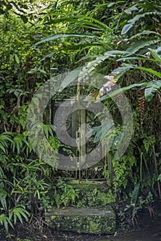 Weathered vintage cast-iron door with stone steps in the jungle in Bali, Indonesia.