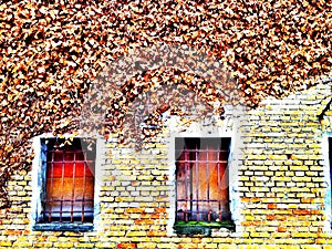 Weathered wall and old barricaded windows