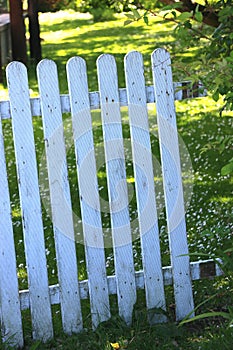 Weathered white garden gate, ajar.