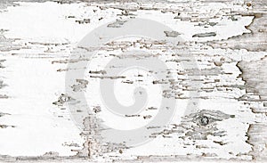 Weathered white wooden background. Old rustic wood texture