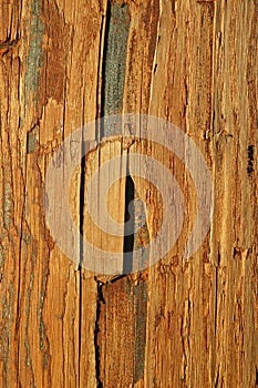 Weathered wood