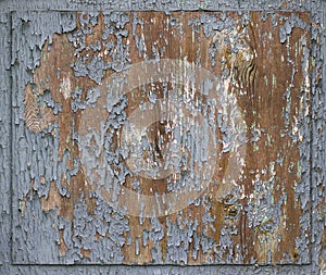 Weathered wood background