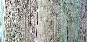 Weathered wood background