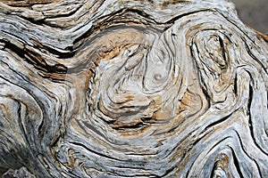 Weathered wood detail