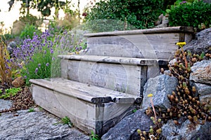 Weathered, wood garden steps on a cottage vacation property, showing several plants in a landscaped pathway. Symbolic of peace,