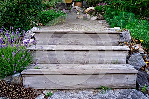 Weathered, wood garden steps on a cottage vacation property, showing several plants in a landscaped pathway. Symbolic of peace,
