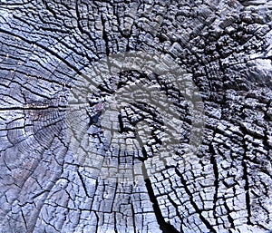 Weathered wood grain