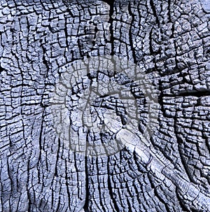 Weathered wood grain