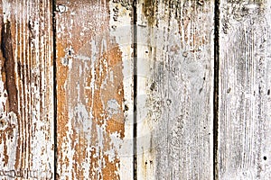 Weathered wood