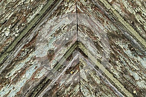 Weathered wood with patina photo
