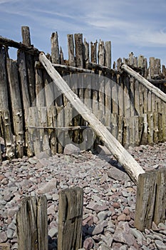 Weathered wood Porlock beach