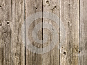 Weathered wood texture