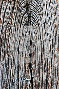 Weathered Wood texture pattern