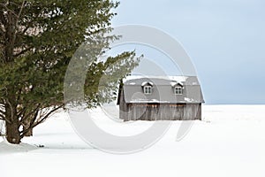 Weathered wooden barn with gable metal roof seen in snowy farmland during winter