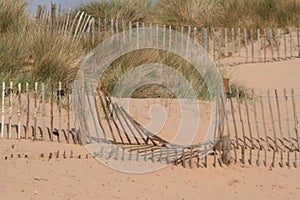 Weathered wooden beach fence