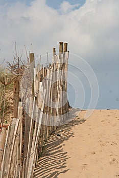 Weathered wooden beach fence