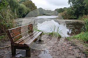 Weathered wooden bench facing lake lush foliage cloudy day after rain