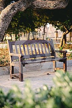 Weathered wooden bench in a park in warm sunset light
