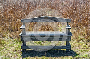 Weathered wooden bench in Texas prairie grass with morning sunlight