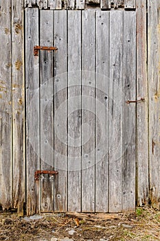 Weathered wooden door on an old rustic barn during spring