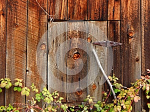 Weathered wooden door with rusty hinges
